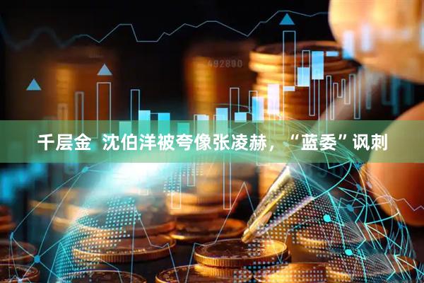 千层金  沈伯洋被夸像张凌赫，“蓝委”讽刺