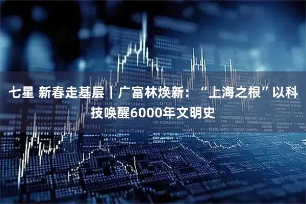 七星 新春走基层｜广富林焕新：“上海之根”以科技唤醒6000年文明史